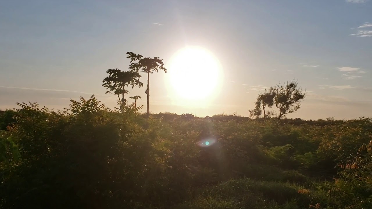 MOVED TANZANIA UPDATE MONTAGE NOVEMBER 2020