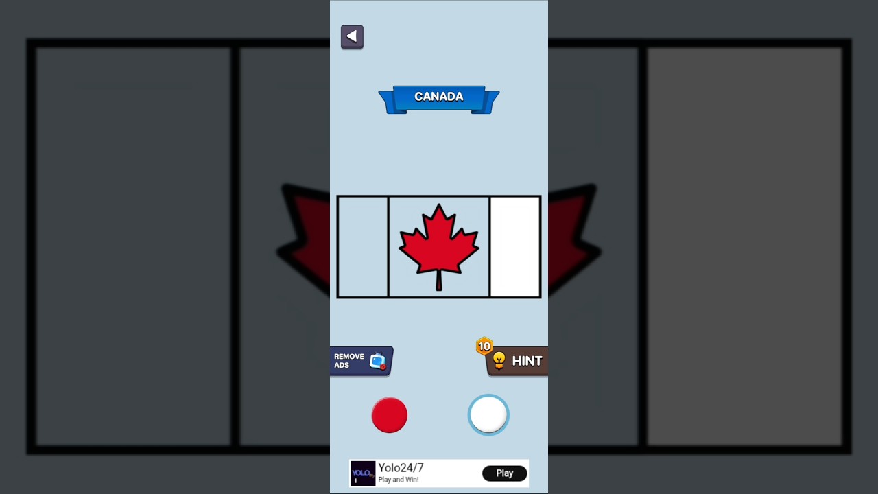 Can You Paint This Flag? 🤔🎨 || Woriyan Gaming