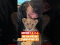 Drew lifestyle TV says this love of Lion 🦁 he took care of him from baby