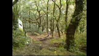 Mountain Bike Edit 2011