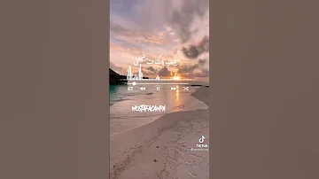 حاله واتس اه ياويلي م اللي سيرتي مجنناهم 