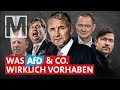 Vertreibung aus Deutschland: Die Pläne von AfD & Co. - MONITOR image