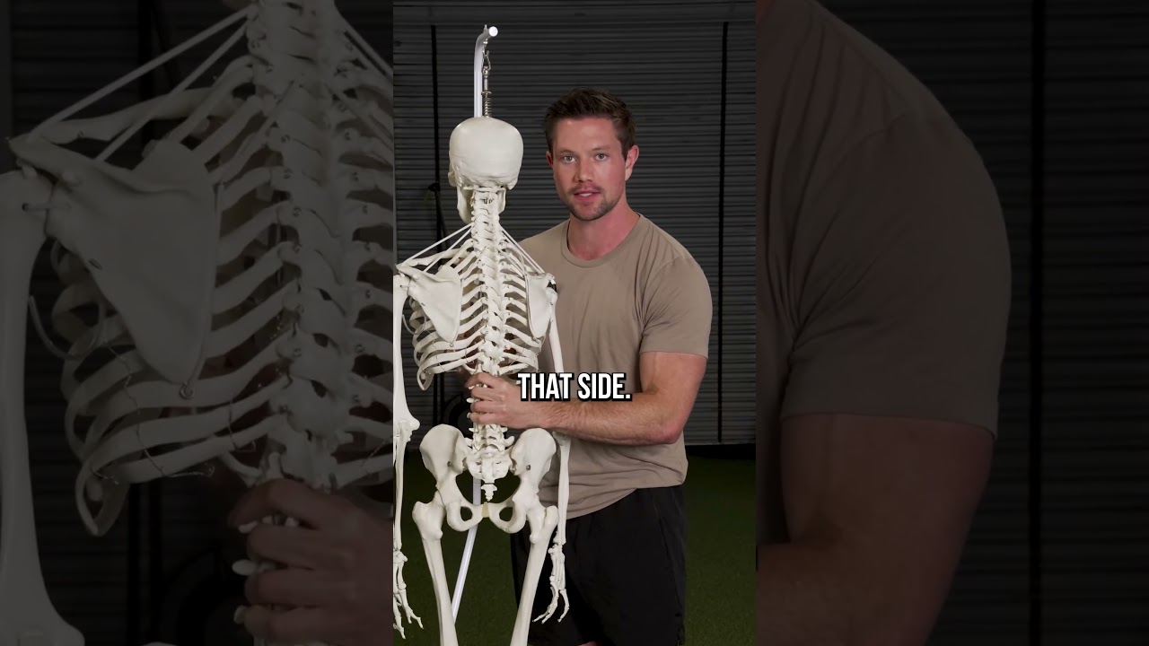 The Mindblowing Truth About Your Hamstring Flexibility 🤯