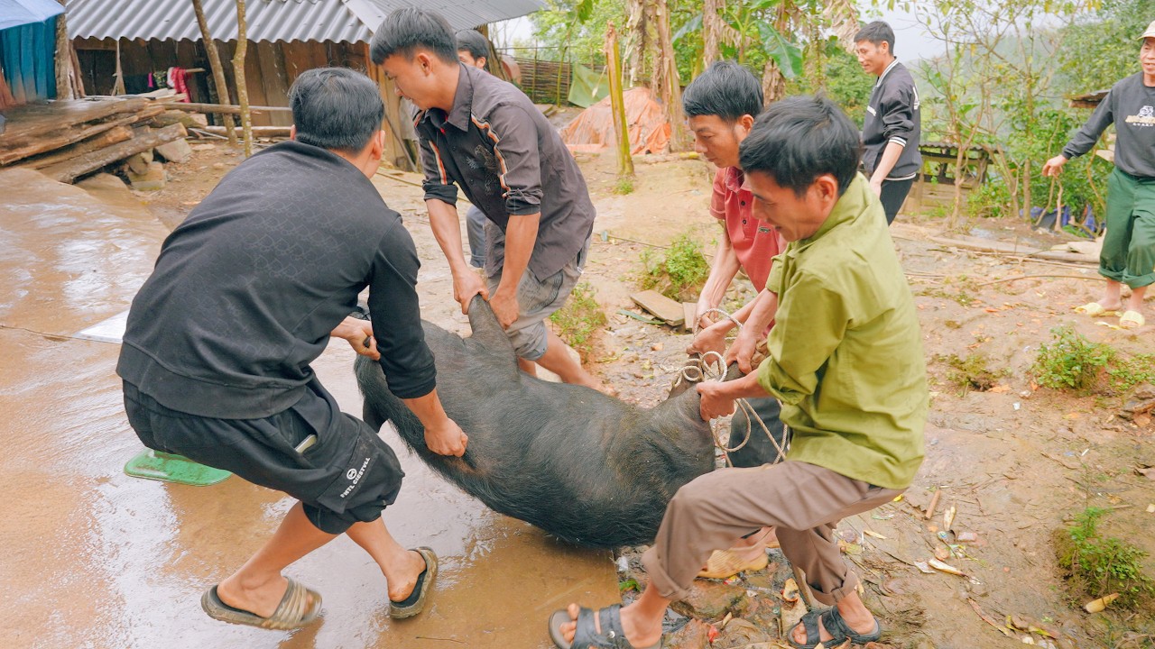 SAPA TV | MỘT NGÀY ĐẶC BIỆT CÙNG NGUYỄN TẤT THẮNG MỔ LỢN KHAO BÀ CON DÂN BẢN NHÂN DỊP ĐẦU NĂM