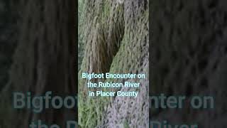 Bigfoot Encounter on the Rubicon River @BigfootEvidence
