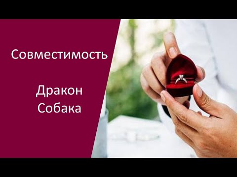 Совместимость Дракон и Собака по китайскому гороскопу между мужчиной и женщиной