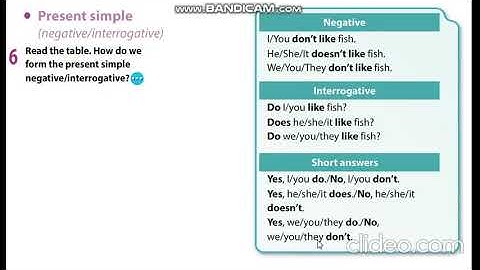 Excel 5 Module 3 Present Simple - Negative & Interrogative - Exercises