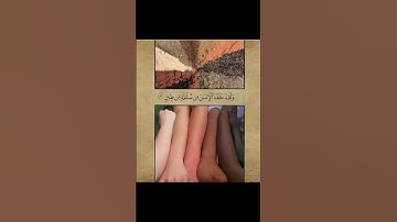 القرآن الكريم غذاء الروح وغذاء العقل  وعلاج للنفسيه المتعبه والمنهكه #قرآن_كريم #القران #لايك #لايك