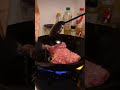 クソデブ豚飯をドカ食いしてコーラで流し込む幸せ