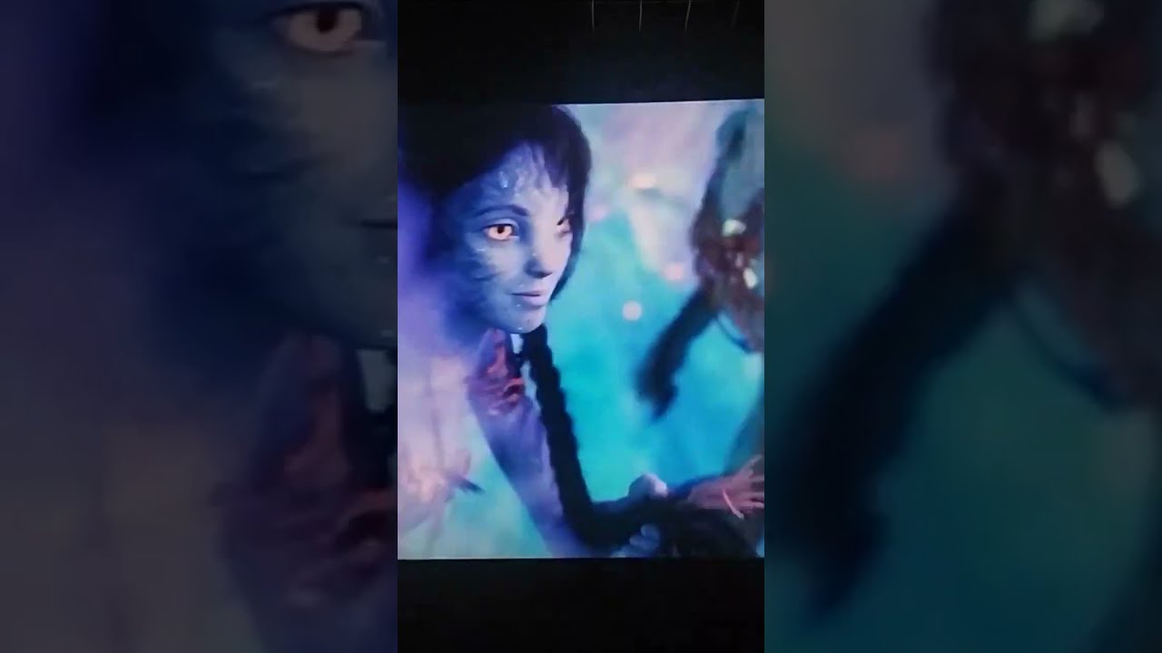  Avatar 2 Movie PSS Multiplex Theatre Nanguneri Vishali S Kitchen