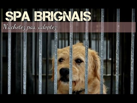 Spa De Brignais Youtube Spa De Brignais Youtube
