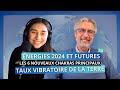 Veil vibratoire en 2024 lever son taux vibratoire et harmoniser la terre  luc bodin