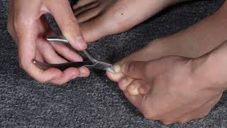 Prime Day Straaight Toenail Clipper For Ingtown Nails