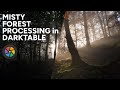 Processing Misty Forests in Darktable - Landscape Tutorial #17