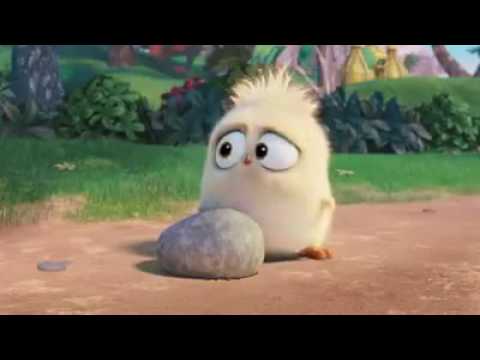 ბუსუსა და ჭიაყელა {kidsmed.ge}