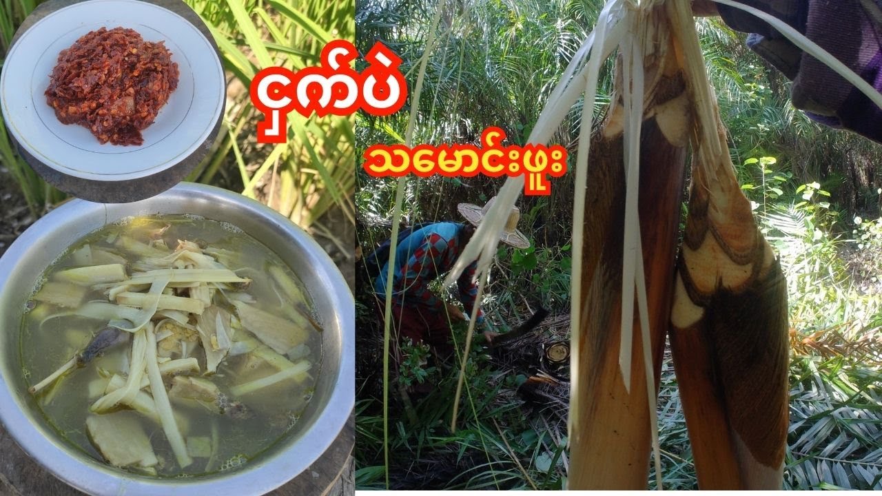 ငှက်ပဲ သမောင်းဖူး