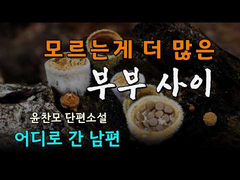 출산 직전 사라진 남편의 주소지를 추적하던 아내가 마주한 남편의 기막힌 비밀.  [윤찬모 단편소설 - 어디로 간 남편]