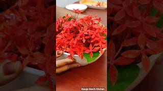 Ixora Garland | Idli Poo | തെച്ചി പൂക്കൾ shorts shortsfeed ixora flower