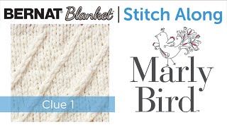 JOANN Stitchalong | Bernat Blanket | Knit Blanket with Marly Bird | Clue1