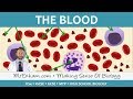 Understanding the Human Circulatory System