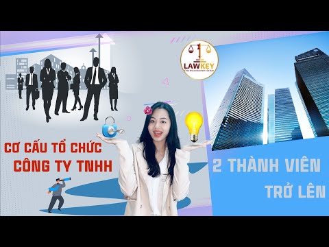 Video Cơ cấu, tổ chức của công ty TNHH 2 thành viên trở lên - youtube