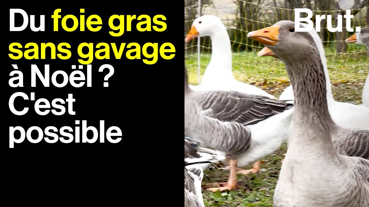 Terroir : du foie gras sans gavage ! - Extrait vidéo Météo à la carte