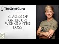 Grief Stages 0-2 Weeks After Loss ποΈ