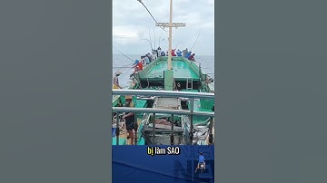 Tình huống bất ngờ khi đang câu cá trên biển của ngư dân đứng hình mất 5s