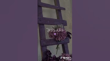 احترام القرآن الكريم......{وقل الحمد لله الذي لم يتخذ ولدا ولم يكن له شريك في الحكم.....}