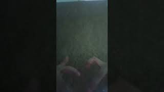 Ngy 19 Thng 08 Nm 2022