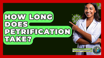 How Long Does Petrification Take? - Earth Science Answers