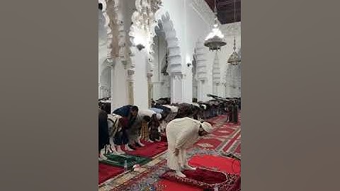 صلاة العشاء والتراويح  بصوت القارئ  أسامة زروال 🌴⚜️ من مسجد الكتبية مراكش 🇲🇦🇲🇦🇲🇦