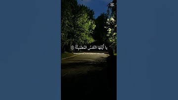 اكتب شيء تؤجر عليه ❤🎧😴 #صوت_جميل #اكسبلور #تلاوة_خاشعة #قرآن #المصحف #راحة_نفسية #لايك