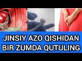 AYOLLAR JINSIY AZOSI QICHISHINI BIR ZUMDA DAVOLOVCHI TAMPON