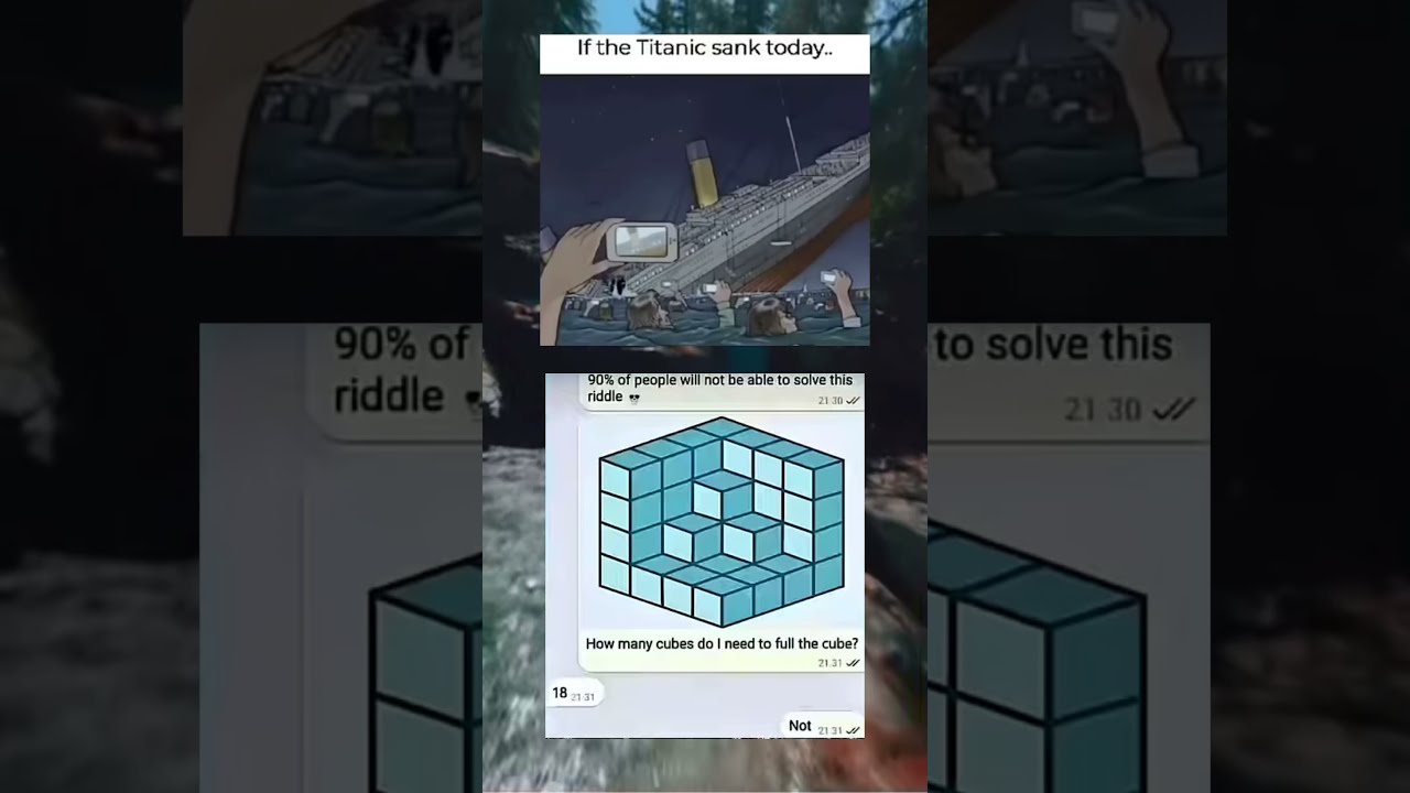 6p Memesdaily Zyxabc Funnyimages Memes