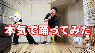 宮迫夫婦withワンちゃん クラップダンス踊ってみた