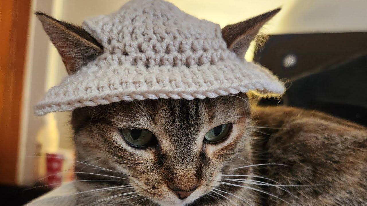 Gorro para gatos en crochet 🐱