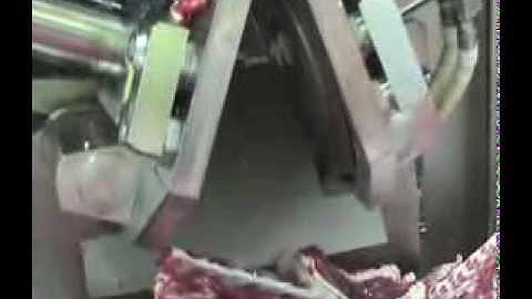 exos mf multifunction lamb boning and chine removal machine