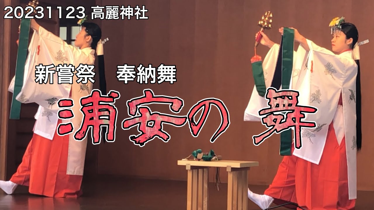 高麗神社　新嘗祭　奉納舞　浦安の舞　Koma Jinjya shrine Kagura Saitama prefectur 20231123