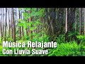 Música relajante sonidos de lluvia y trueno, Música de Piano Tranquila para Relajarse y Meditar #2