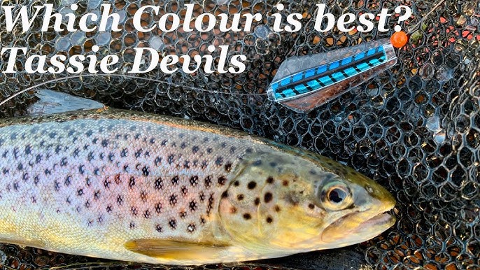 Little Devil, (Tassie) Tasmanian Devil Trout Lure