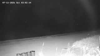 🔴Key Biscayne Beach Cam - Florida - Live Cam