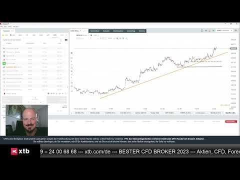 Netflix und Tesla - Analyse von Daten und Charts