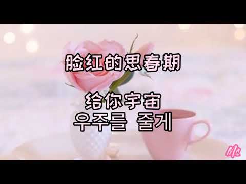 给你宇宙우주를 줄게 -脸红的思春期  《歌词》韩+罗+中