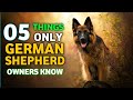 05 things only german shepherd owners know   masti with eva