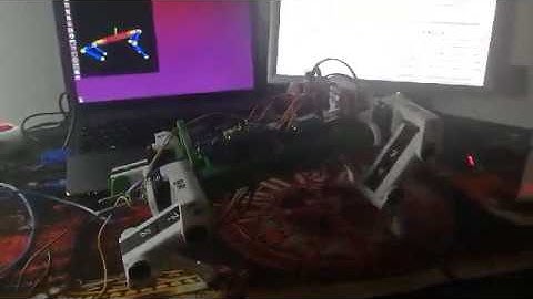 Quadruped robot dog-like static movements