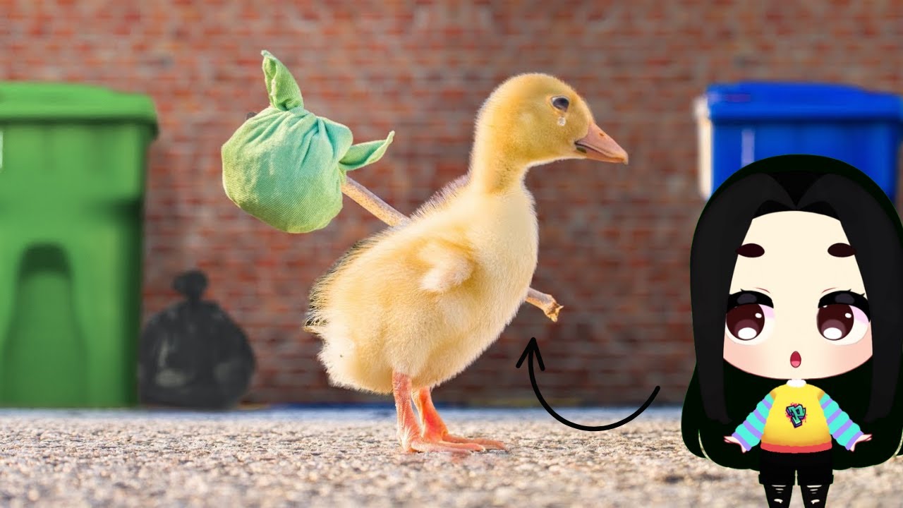 EL PATO FUGITIVO  🐤💰 | PAOLAZGAMES REACCIONA a AaronsAnimals