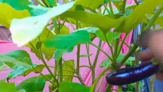 Aaj Subha Ka Kaam Venture