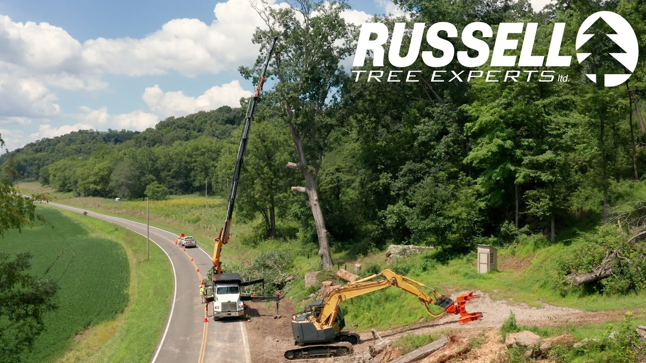 Land Clearing in Warsaw, Ohio YouTube