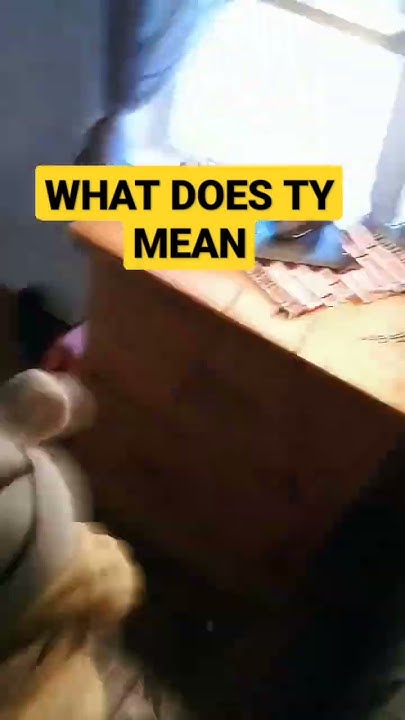WHAT DOES TY MEAN YouTube what-does-ty-mean-youtube